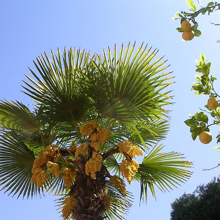 Hotel Ulisse Ischia Bagian luar foto